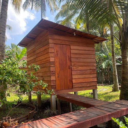 Coco Cabins By Thush เบนโตตา ภายนอก รูปภาพ