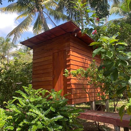 Coco Cabins By Thush เบนโตตา ภายนอก รูปภาพ