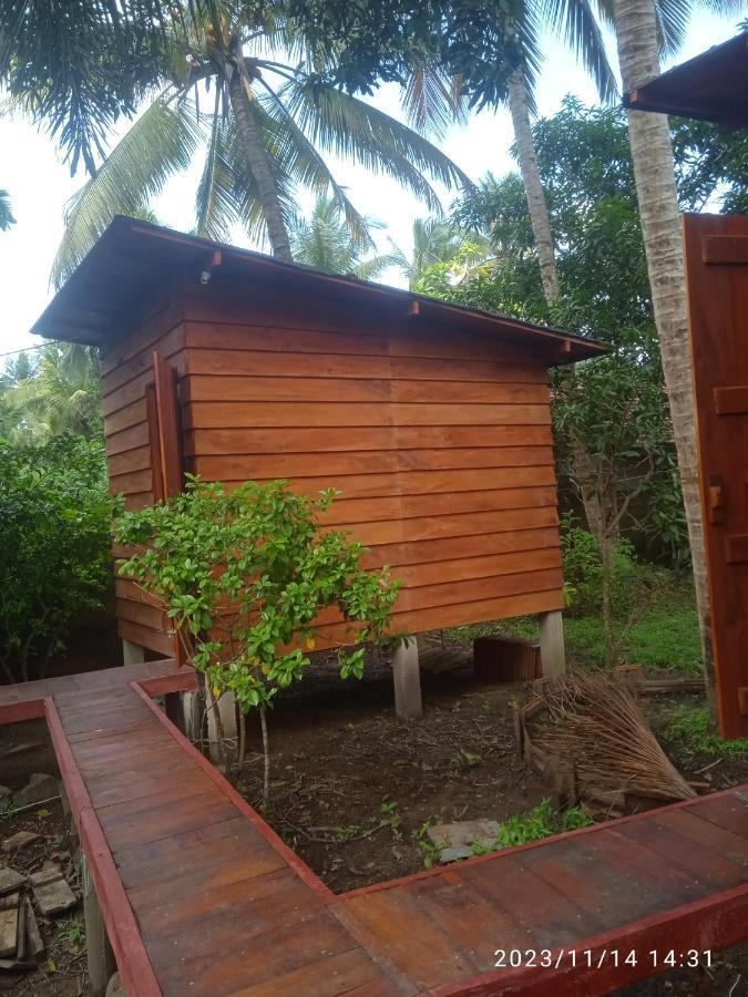Coco Cabins By Thush เบนโตตา ภายนอก รูปภาพ
