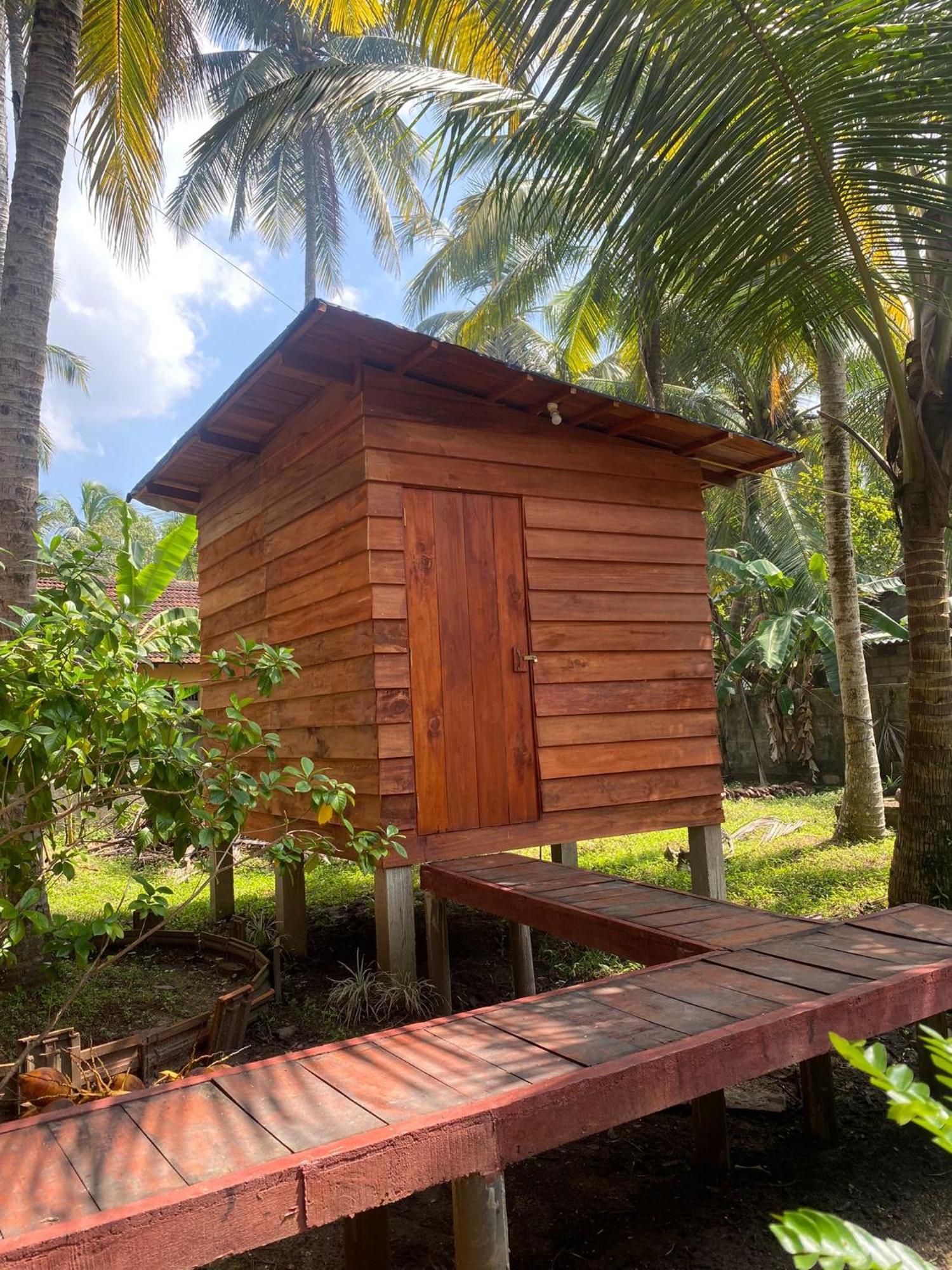 Coco Cabins By Thush เบนโตตา ภายนอก รูปภาพ