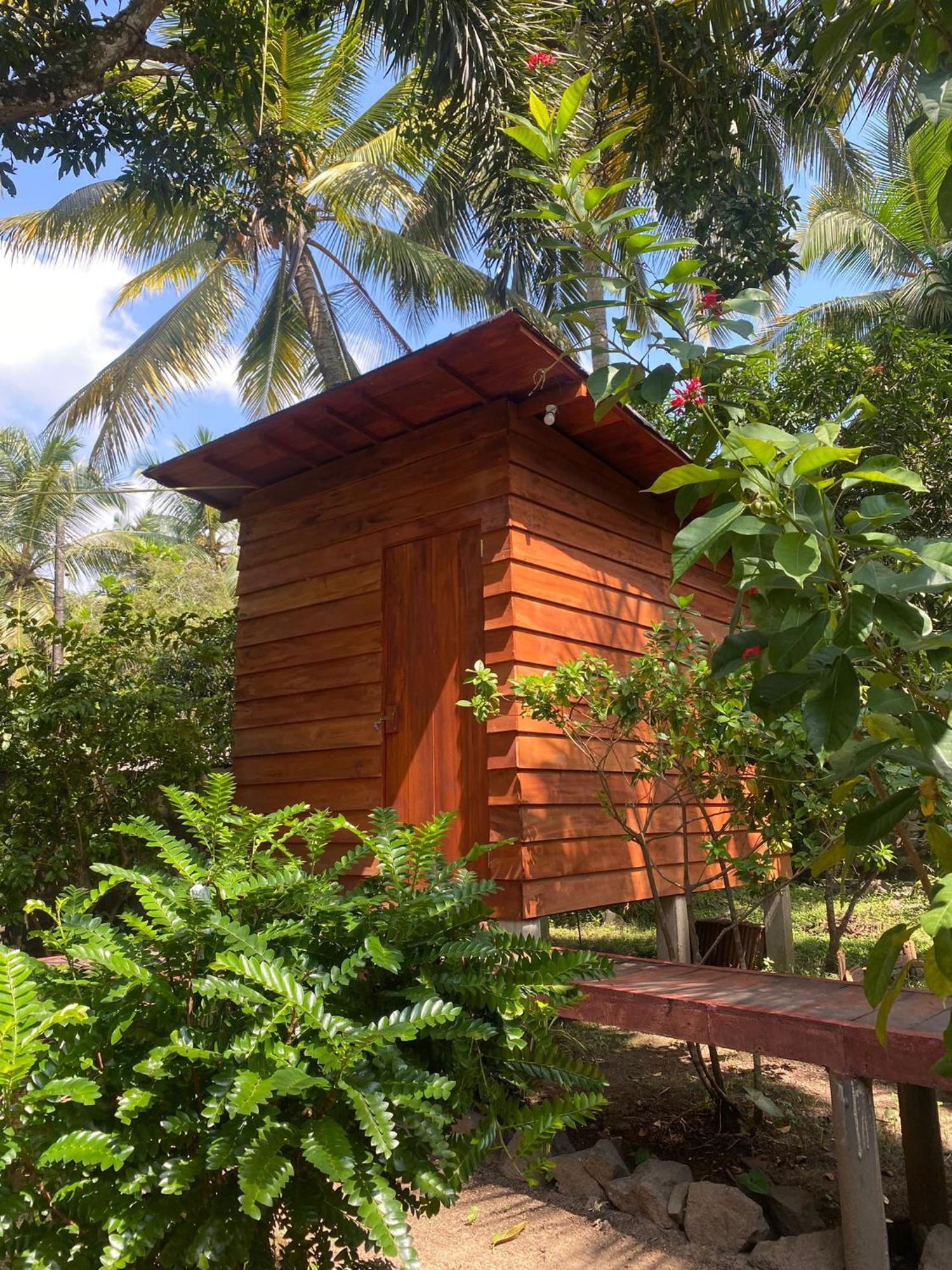Coco Cabins By Thush เบนโตตา ภายนอก รูปภาพ