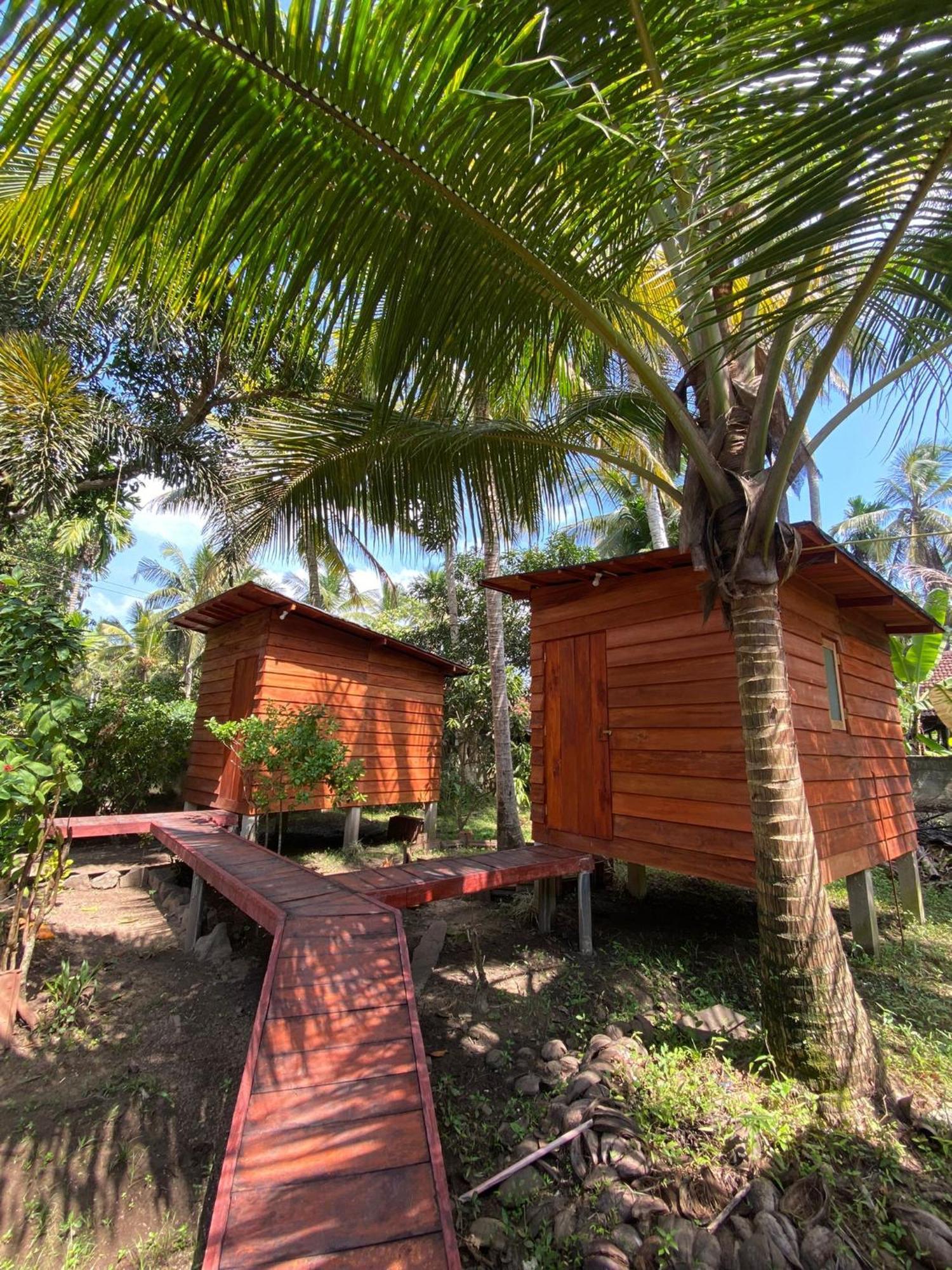 Coco Cabins By Thush เบนโตตา ภายนอก รูปภาพ
